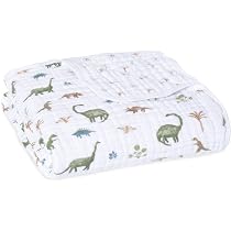 Amazon.com: aden + anais Essentials Dream Blanket, Muslin Baby ...