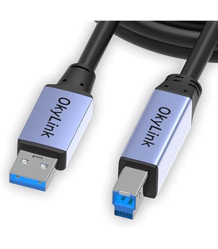 Amazon.com: LINDY 5m USB 3.2 Cable. USB-A Male to USB-B 3.0 Male