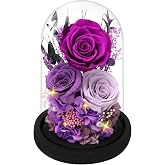 Casaido Preserved Roses Flowers for Delivery, Mothers Day Rose Gifts for Mom Her, Purple Forever Flores in Glass Dome for Wife Girlfriend Grandma, Anniversary Birthday Gift for Vanlentines Christmas