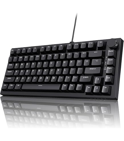 Amazon.com: AJAZZ AK820 Mechanical Gaming Keyboard 75% Wired TKL