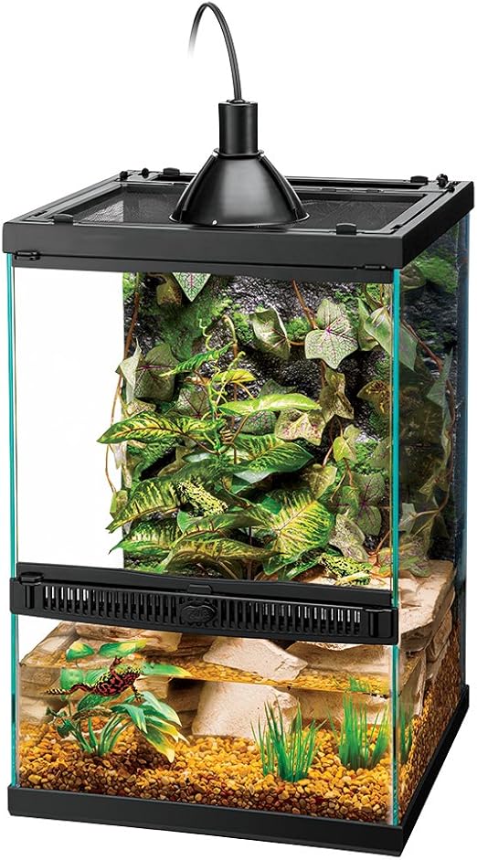 all living things tropical reptile starter kit