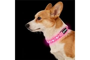 PETISAY LED Dog Collar for Small Dogs Cats - Fully Waterproof & Adjustable Glow Collar - USB-C Rechargeable for Night Walking, Safety - Flashing Lighted Collar for Dogs(Pink,S)
