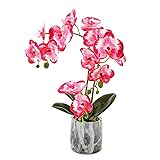 Wenhuidr Red Pink Fake Orchids Flowers in Pot