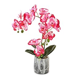 Wenhuidr Red Pink Fake Orchids Flowers in Pot