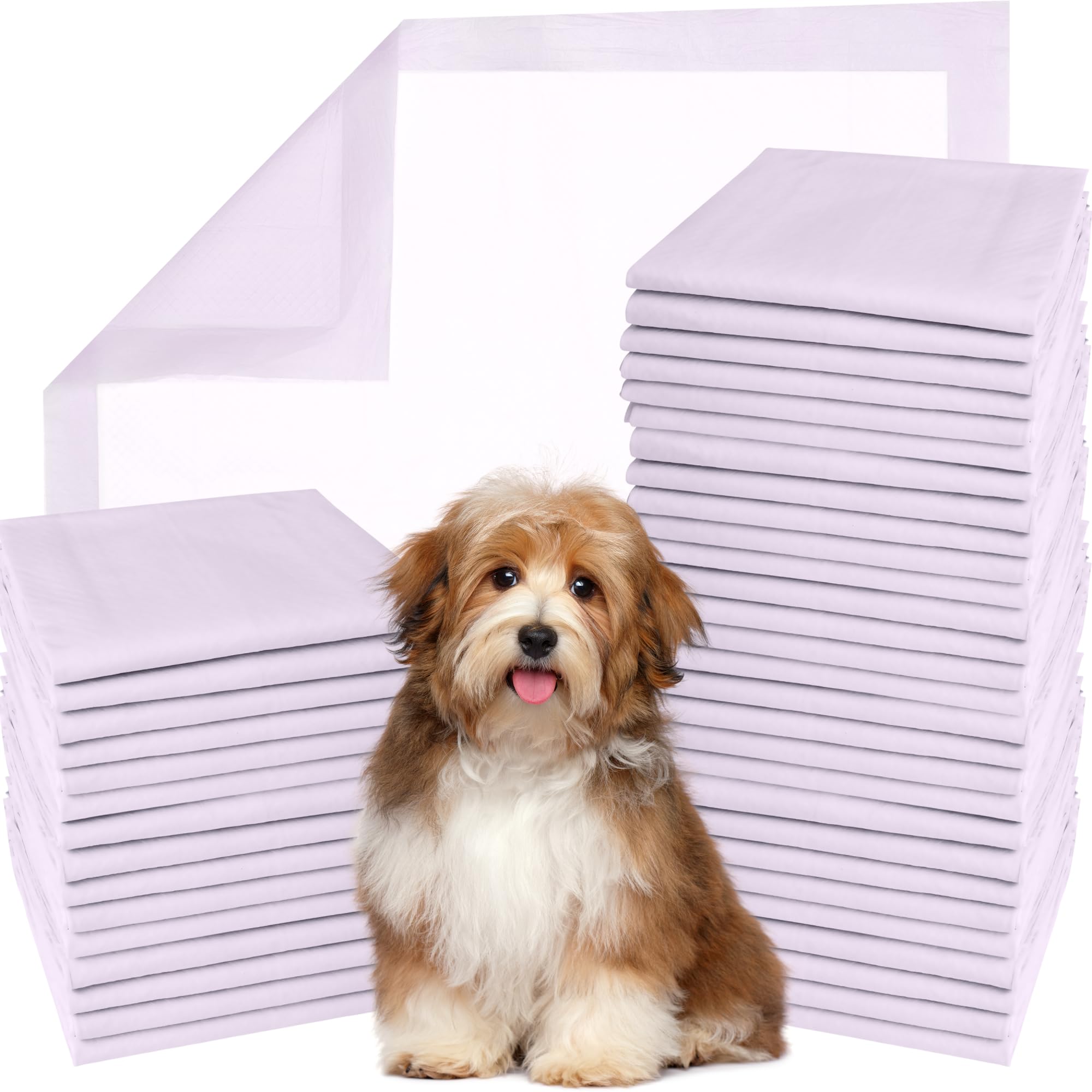 Photo 1 of GREEN LIFESTYLE Pee Pads - Super Absorbent & Leak-Proof Pee Pads for Dogs - Puppy Pads - Waterproof Dog Pads, Lavender Scented Dog Training Pads for Cats, Rabbits (Pack of 80 - 22x22)