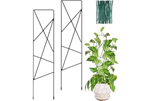 OYOEETD 17.5 Inch Indoor Plant Trellis for Climbing Plants,Small Garden Trellis for Potted Plants,with Moisture-Proof Layer Plant Stakes for Indoor Plants Accessories Hoya,Flower (Star-Metal)