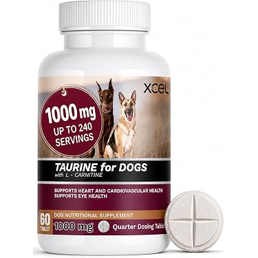 l-carnitine dogs dosage muscle weakness XCEL Taurine for 1000 mg Supplement with L-Carnitine, Quarter Scored Tablets (250 mg Split), Up to 240 Servings, Supports Heart, Eye & Energy Health Core Milk Thistle | aminosäuren Qty:4 vials