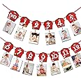 Farm Animal Theme Photo Banner 1st Birthday Monthly Banner Newborn to 12 Month Photo Display Milestone Photograph for Barnyard First Birthday Party Decorations Supplies