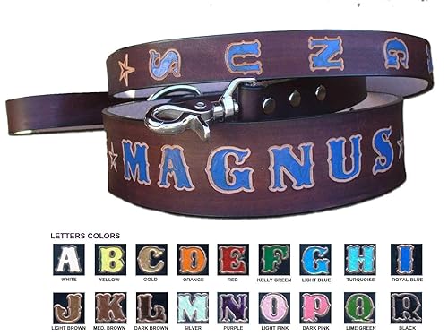 custom made dog leashes