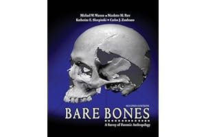 Bare Bones: A Survey of Forensic Anthropology
