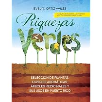 Riquezas Verdes: Seleccion de plantas, especies aromaticas ...