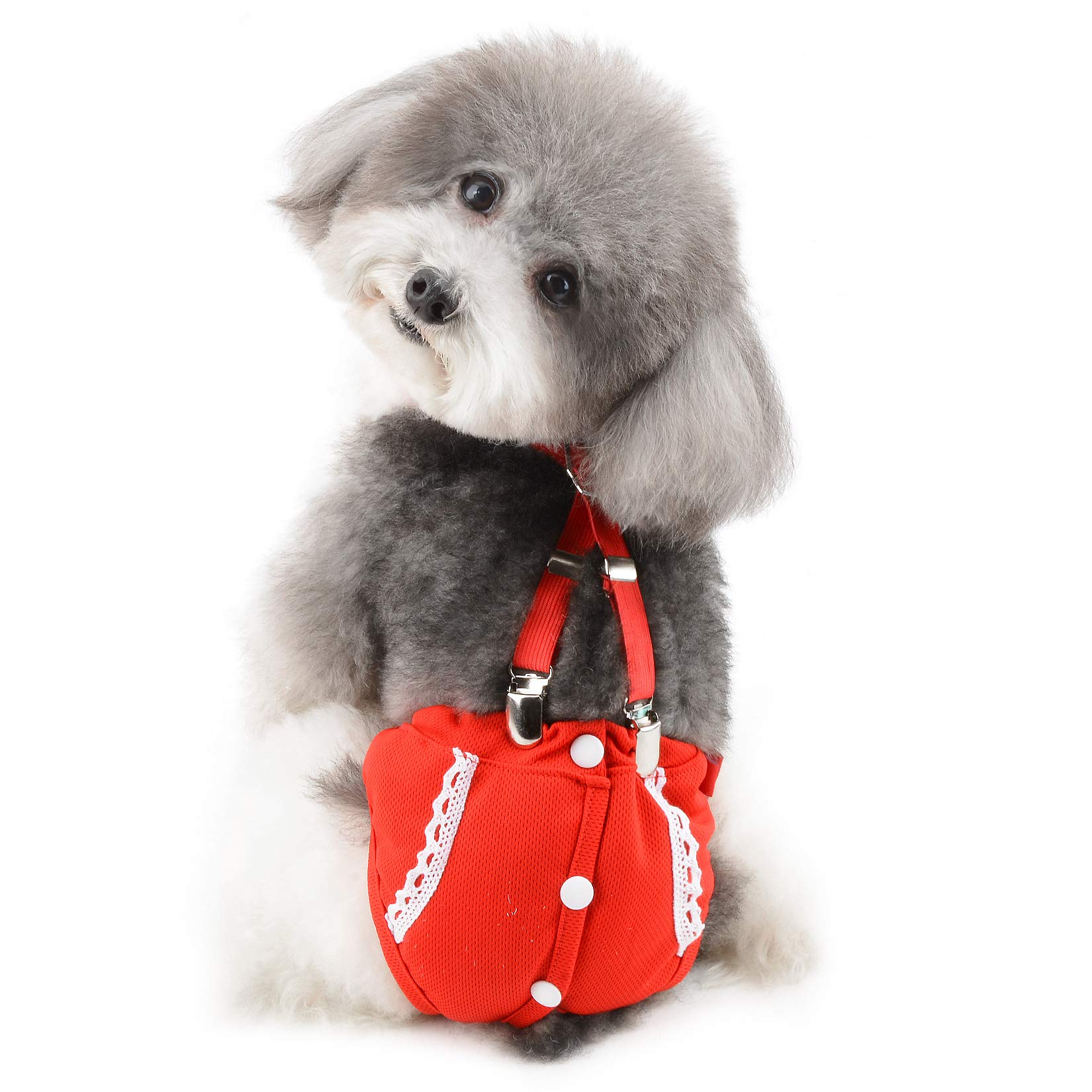 Ranphy Dog Diapers Female Washable Pet Sanitary Panties with Adjustable Suspenders Breathable Reusable Puppy Nappies Red Underwear Pants for Small Dog Cat Physiological Shorts