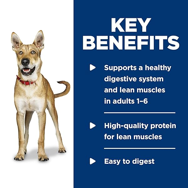 HILL’S SCIENCE DIET ADULT 1-6, ADULT 1-6 PREMIUM NUTRITION, WET DOG FOOD, BEEF & BARLEY LOAF, 5.8 OZ CAN, CASE OF 24