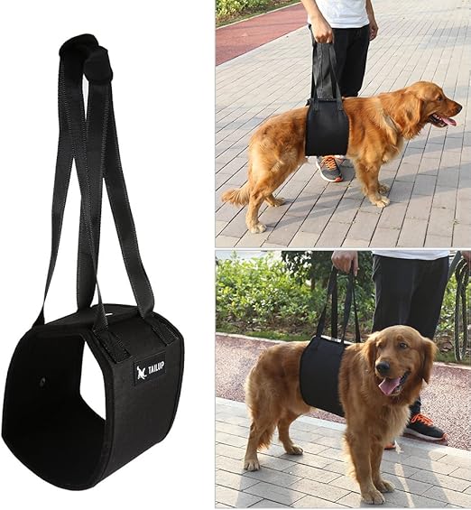 dog lifting harness for stairs