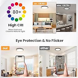 NIORSUN 12 inch Flush Mount LED Ceiling Light