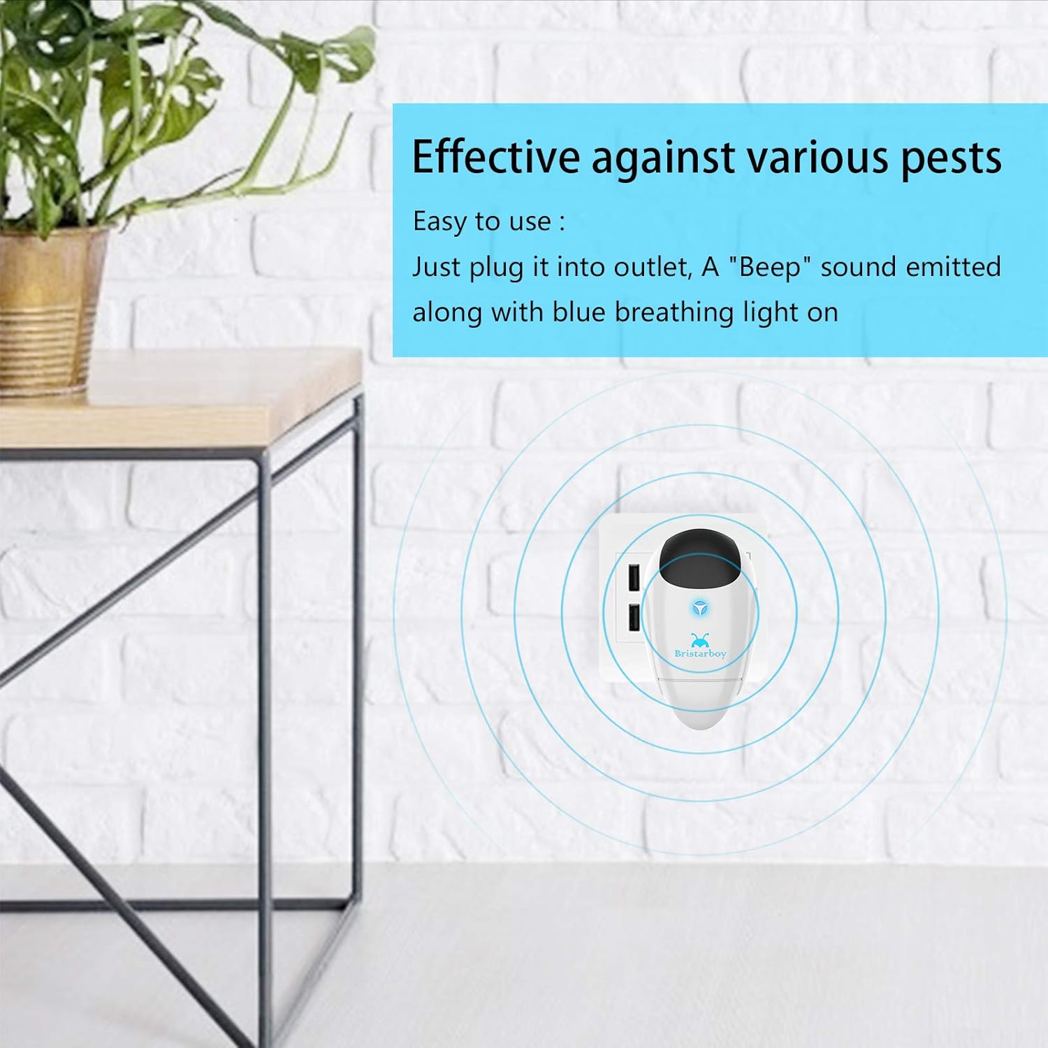 Bristarboy Ultrasonic Pest Repeller 4 Packs, Electronic Indoor Pest Repellent Plug in Pest Control for Kitchen, Warehouse, Bedroom : Garden & Outdoor