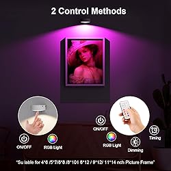 3 Pack Picture Lights for Wall, 13 RGB Color