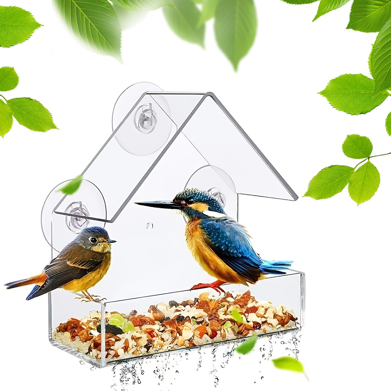 Window Bird Feeder for Outside - Small Acrylic Bird Feeder with 2 Rods, Strong Suction Cups, and Drain Holes, Perfect for Bird Watching, Easy to Clean, 5.9 x 2.4 x 5.9 inches