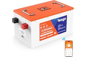 Temgo 12V460Ah Self-Heating LiFePO4 Lithium Battery with Screen, APP Monitoring, 300A BMS, 5880Wh Energy, Max. 3200W Load Pow