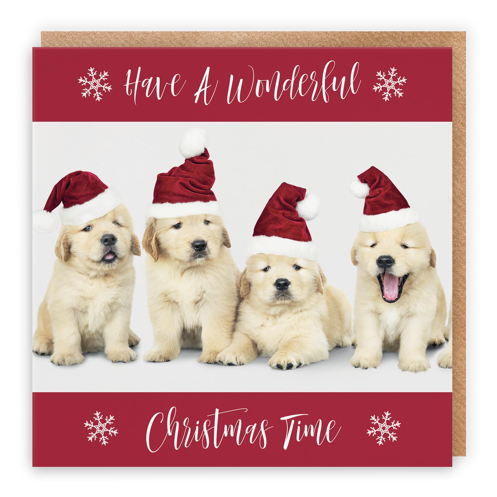 Hunts England - Individual Christmas Card - Have A Wonderful Christmas Time - Puppy Collection - Fun Xmas Card