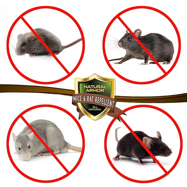 MICE & RAT REPELLENT. PEPPERMINT REPELLENT FOR MICE/MOUSE, RATS & RODENTS. NATURAL SPRAY FOR INDOOR & OUTDOOR USE. 128 OZ GALLON TRIGGER SPRAYER READY TO USE