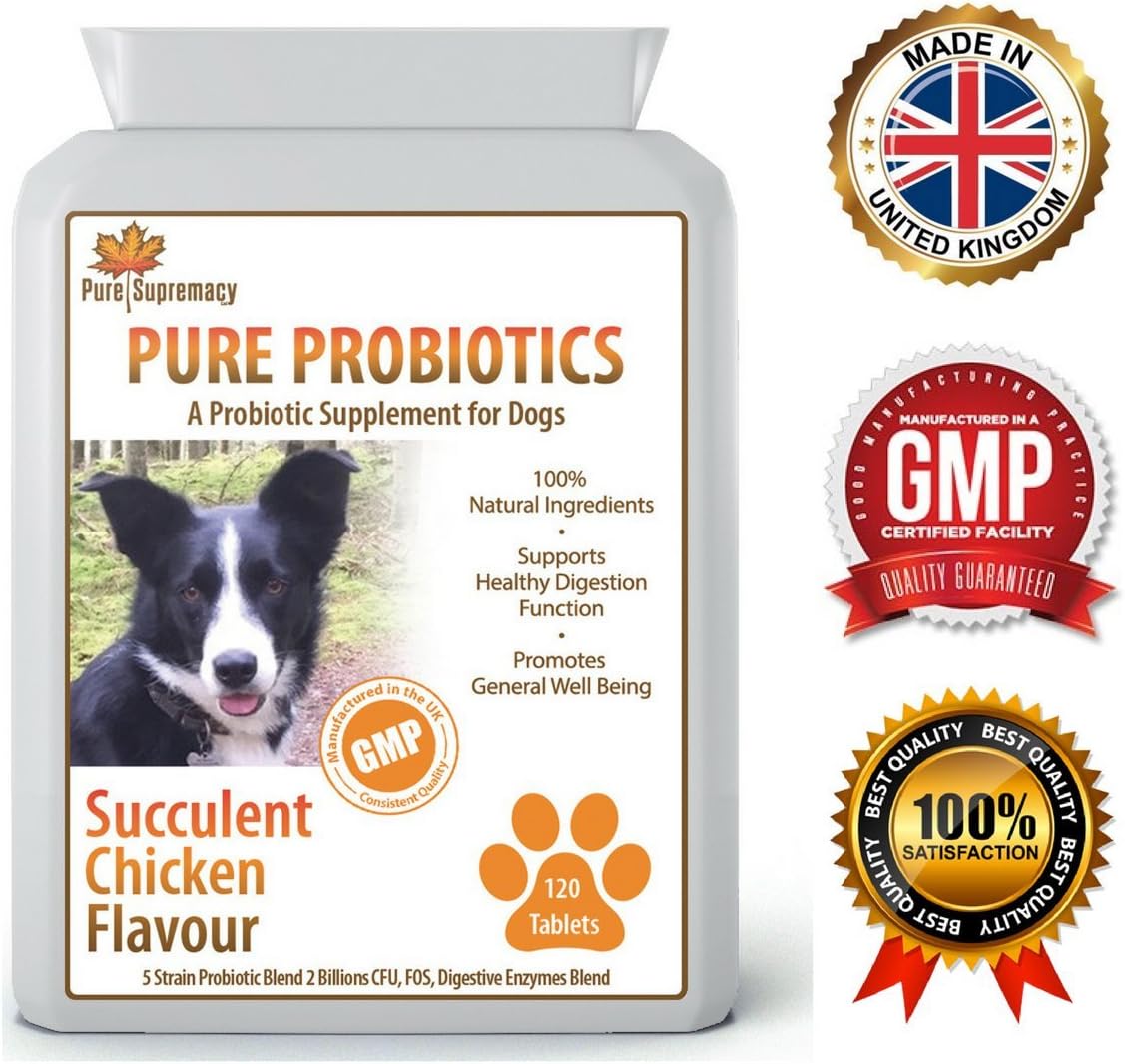 Dog Probiotics, Superior 5 Strain Probiotic with Digestive Enzymes and Prebiotics that Supports Healthy Digestion and Immune Function - 120 Human Grade Tablets - 100% Natural Ingredients, Aids Irregular Bowel Movement and Balances Good Bacteria Levels - Helping your Canine to stay Happy and Healthy - Quality Assured - Free Delivery - Pure Probiotics