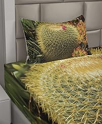 Ambesonne Cactus Sheet Set, Photo of Cactus Plant