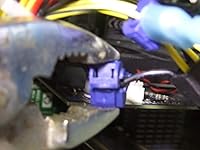 Review Image by Graylyn Tamashiro