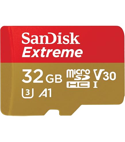 SanDisk Extreme PLUS 32GB microSDHC UHS-I Card - SDSQXBG-032G