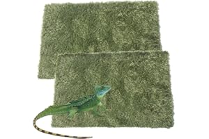 kathson 2 PCS Reptile Carpet Mat Terrarium Bedding Substrate Liner Mat Imitation Rainforest Crawler Mats for Snakes Bearded D
