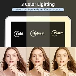 Rechargeable Travel Lighted Makeup Mirror with PU