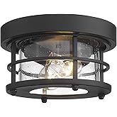 Emliviar 2-Light Round Ceiling Light Fixture, Farmhouse Flush Mount Ceiling Light 10 Inch, Black Finish, WE2085F BK