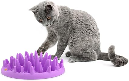 Amazon Com Catch Interactive Feeder Pet Self Feeders Pet