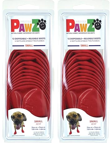 taking a dog backpacking