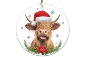 OASSIE 2024 Christmas Ornaments Highland Cow Gifts for Women - Christmas, Birthday Gifts for Family, Mom, Dad, Friends, Farmhouse Christmas Cow Decor - Christmas Tree Decoration Ceramic Ornament