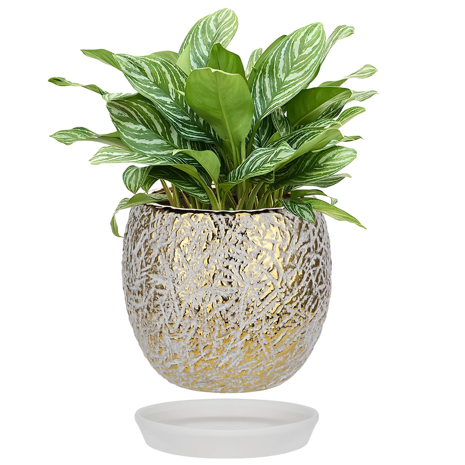 Photo 1 of Ceramic Plant Pots for Plants Indoor 5.3 Inch Round Gold and White Flower Pot Gilded Decorative Planter with Drainage Hole and Saucer Modern Ceramic Pot for Succulents Orchids Cactus Herbs Home Decor