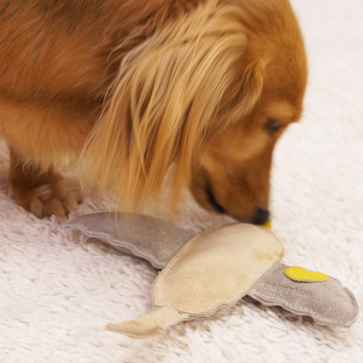 Amazon ドギーマン 犬用おもちゃ 牛革アニマルトイ バード ドギーマン ペット用品 通販