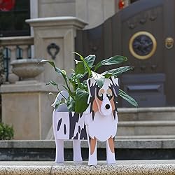 Gochoi Australian Shepherd Gifts,Australian