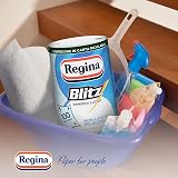 Regina Blitz Casa Paper 5 Rolls 3-Ply Maxi Sheets FSC Certified view 3