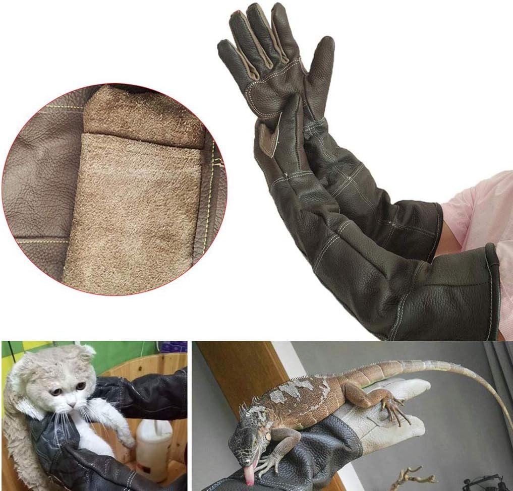 Pet Clothes Animal Handling AntiBite / Scratch Gloves, AntiBite