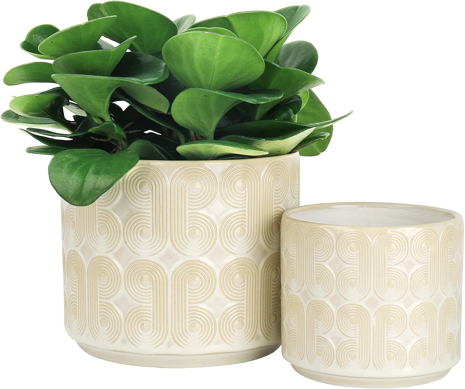 LA JOLIE MUSE Ceramic Planter Set of 2 - 6.6 Inch Greece Style Embossed Flower Pot with Drain Hole for Indoor, with Classic Scrolls Pattern, Ivory : Garden & Outdoor