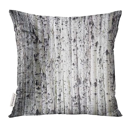 Amazon Com Upoos Throw Pillow Cover Canada Personal Perspective