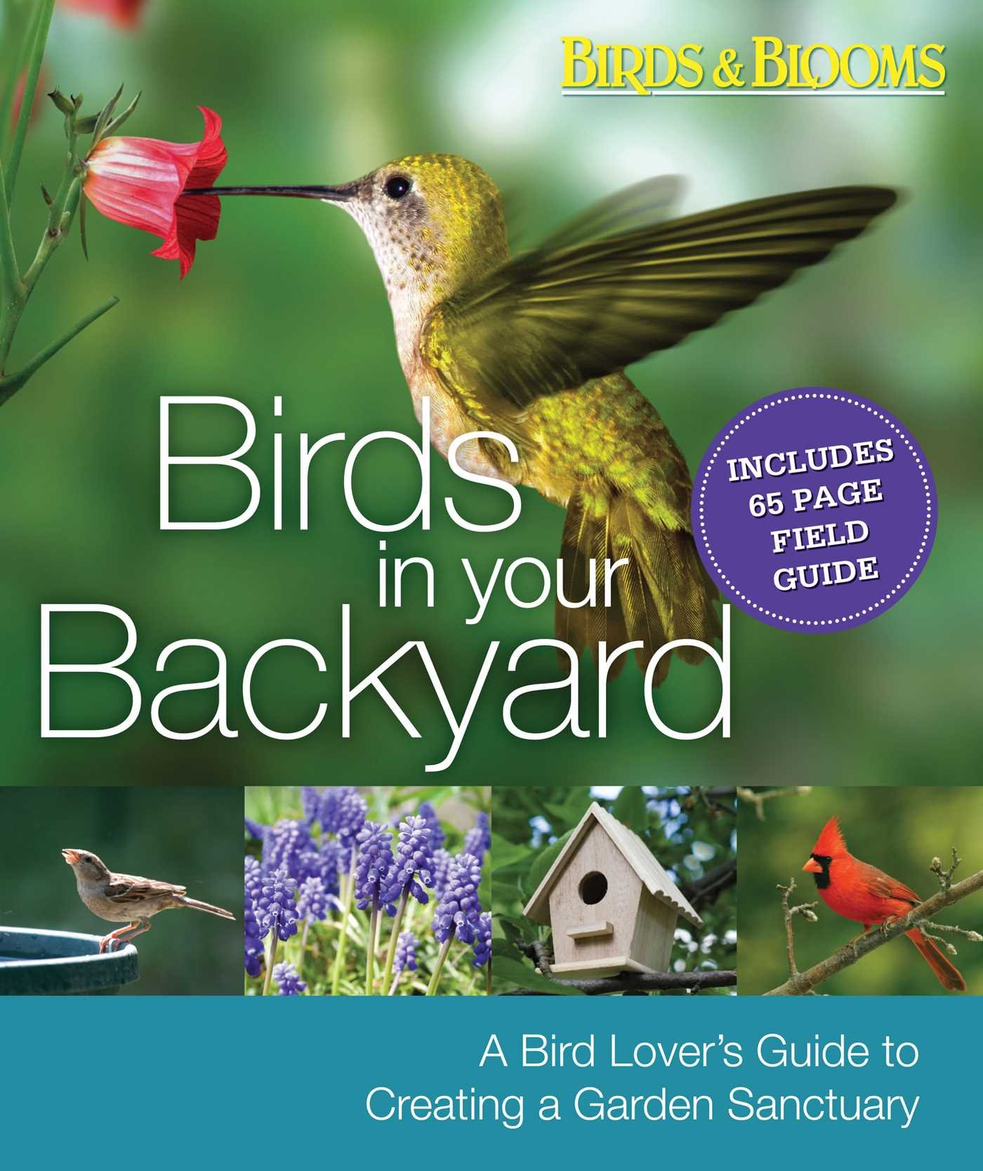Birds In Your Backyard A Bird Lover S Guide To Creating A Garden