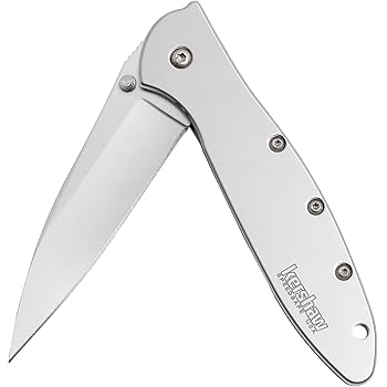 Kershaw Leek Pocket Knife (1660) 3-In. Sandvik 14C28N Blade and Stainless Steel Handle, Best Buy from Outdoor Gear Lab Includes Frame Lock, SpeedSafe Assisted Opening and Reversible Pocketclip, 3 oz.