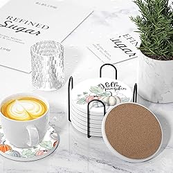 Fall Drink Absorbent Coasters with Holder Set of