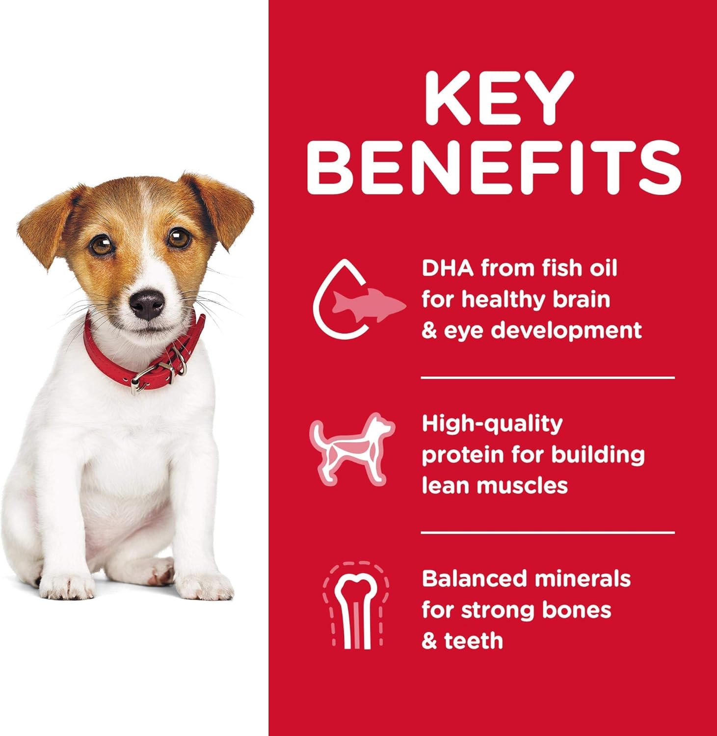 Hill's Science Diet Dry Dog Food, Puppy, Small Bites, Chicken Meal & Barley Recipe, 15.5 Lb Bag: Pet Supplies
