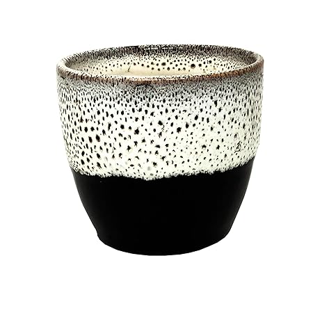 ShopMeFast Glossy Handcrafted Ceramic Pots Ceramic Planter for Indoor Plants/Planters,Home Decor,Garden Decor,Office Decor,Decorative Succulent Pot (Color: White, Black)(L:10 cm, W:10 cm, H:10 cm)