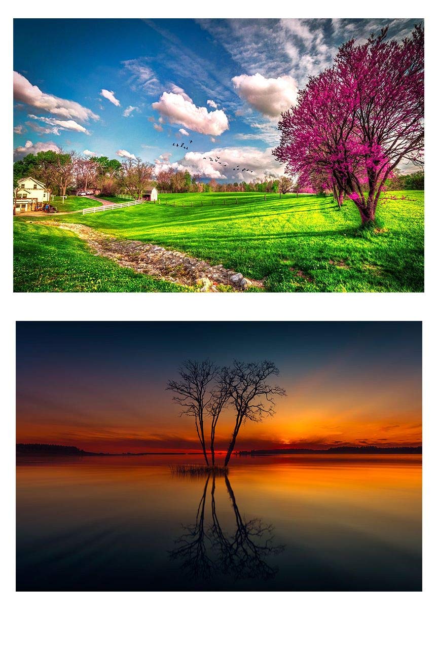 Yellow Alley® Nature Wall Sticker Poster ComboScenery Poster for