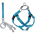 2 Hounds Design Freedom No Pull Dog Harness | Comfortable Control for Easy Walking |Adjustable Dog Harness and Leash Set | Small, Medium & Large Dogs | Made in USA | Solid Colors | 1" LG Turquoise
