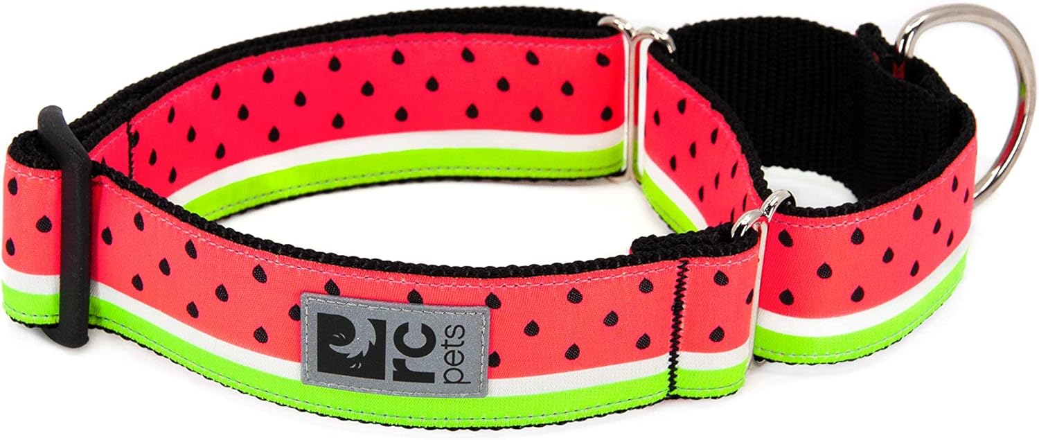 Reviews RC Pets 11/2" All bing Martingale Training Wide Dog Collar